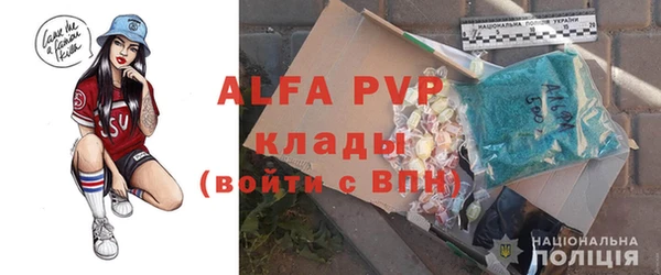 молекула духа Балахна