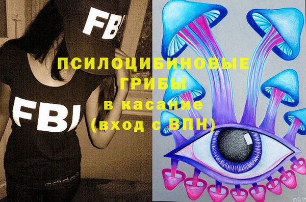 молекула духа Балахна