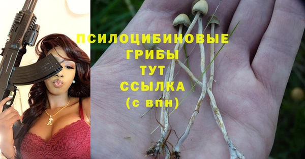 Альфа ПВП Баксан