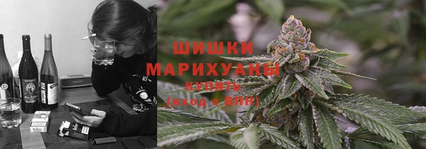 молекула духа Балахна