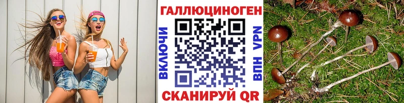 ссылка на мегу tor  Старая Купавна  Псилоцибиновые грибы мухоморы 